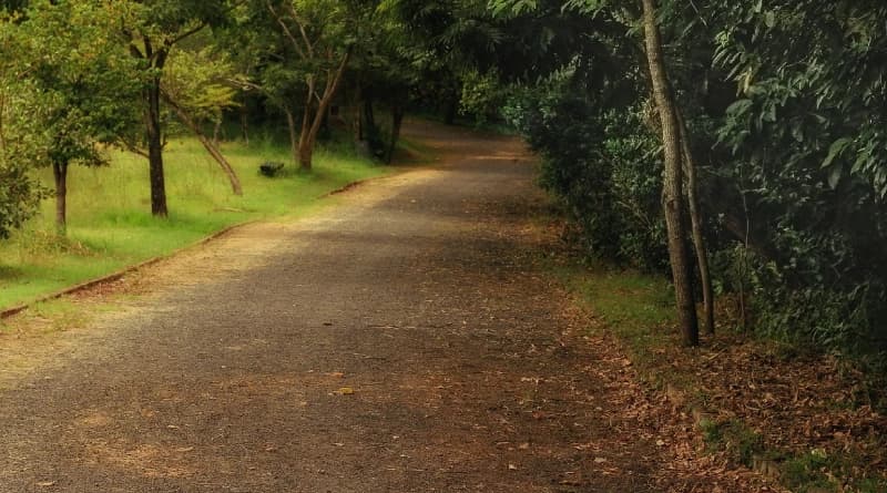 Cicloturismo em parques nacionais
